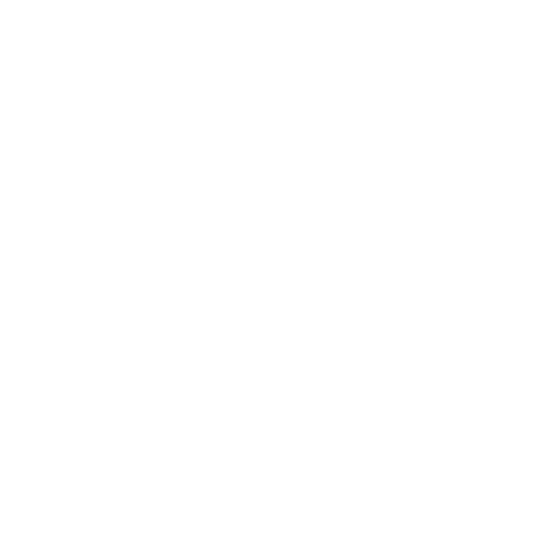 Our Vision
